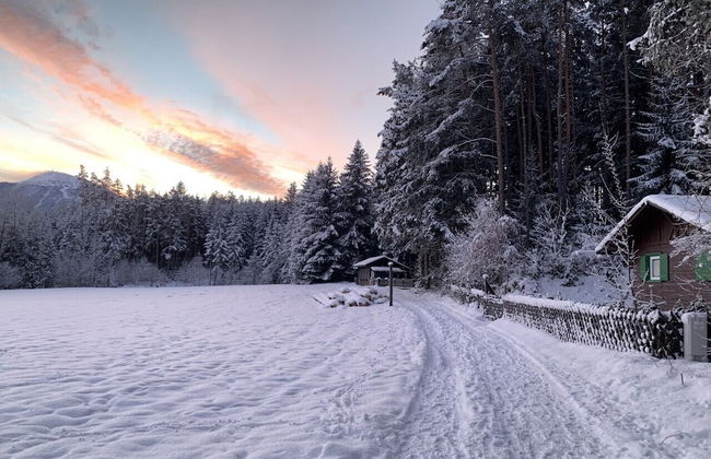 Waldchalet am Eichhof - Foto 34