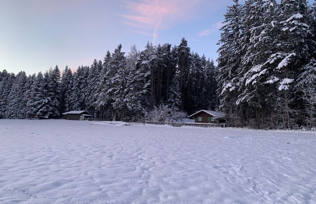 Waldchalet am Eichhof - Foto 33