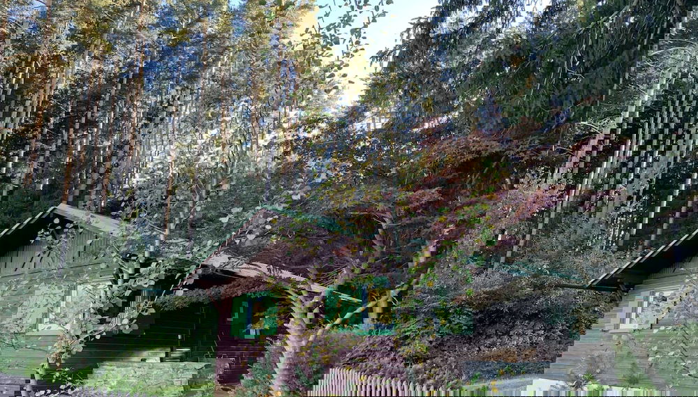 Primary image