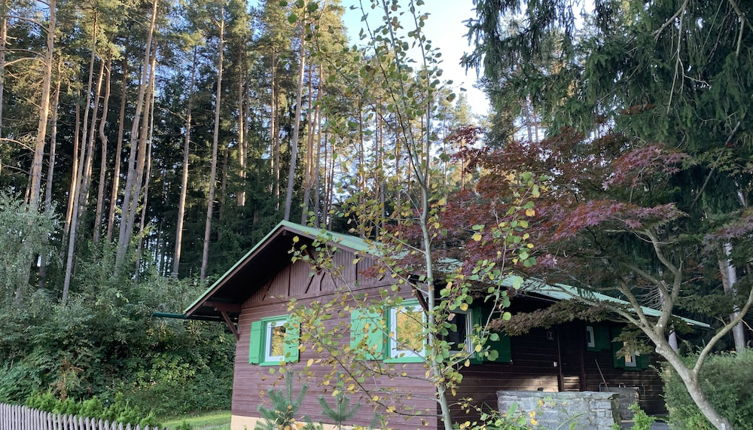 Photo 1 - Waldchalet am Eichhof