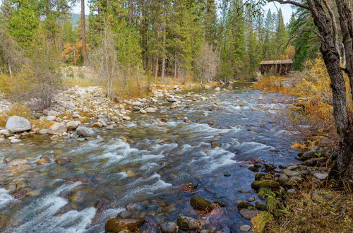 Photo 22 - Beautiful 3bd Sanctuary Inside Yosemite