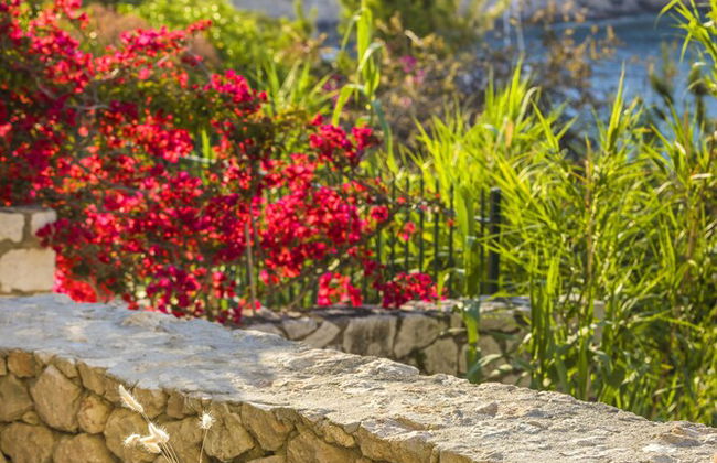 Assos Chromata Villas - Foto 24