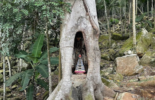 Casa de Vidro - Hospedar com Propósito - Foto 44