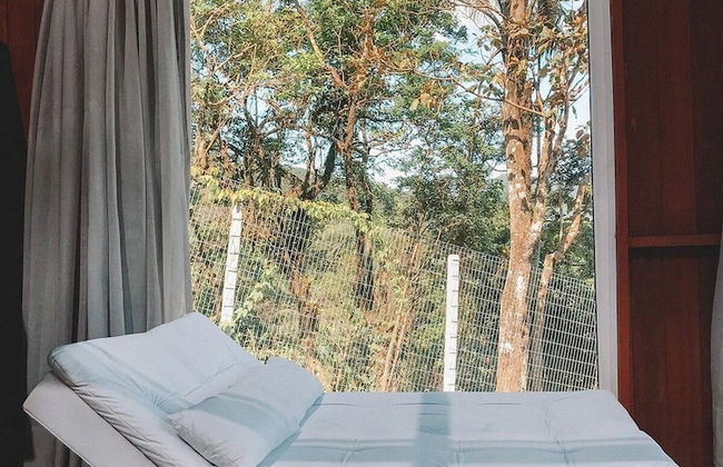 Casa de Vidro - Hospedar com Propósito - Foto 4