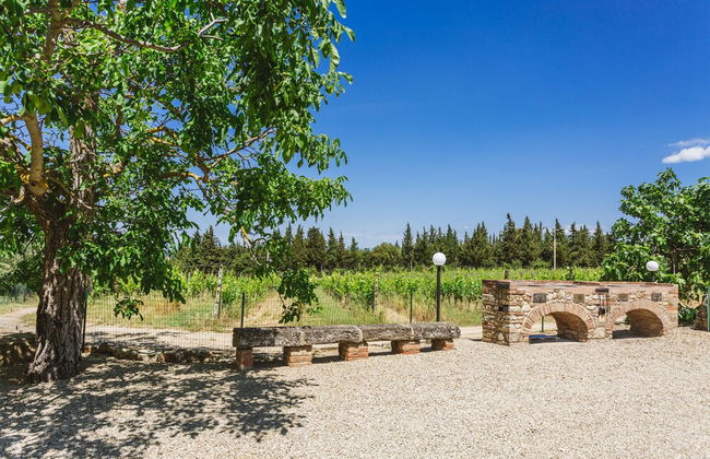 Ormanni nel Chianti Classico - Foto 78