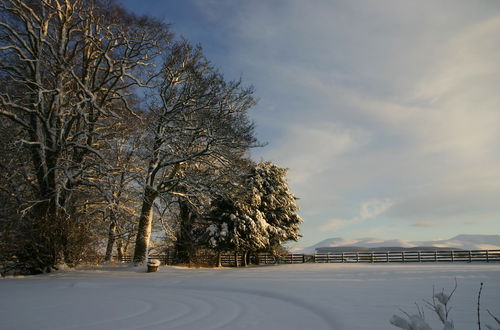 Photo 12 - Cormiston Farm