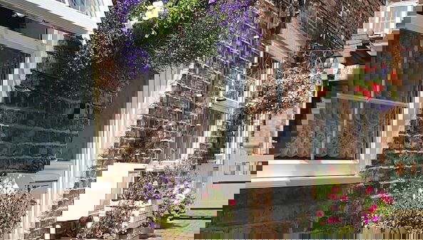 Imagem principal