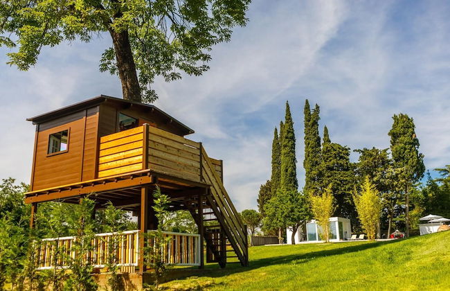 La Casa Di Nan 8 in Forli - Foto 33