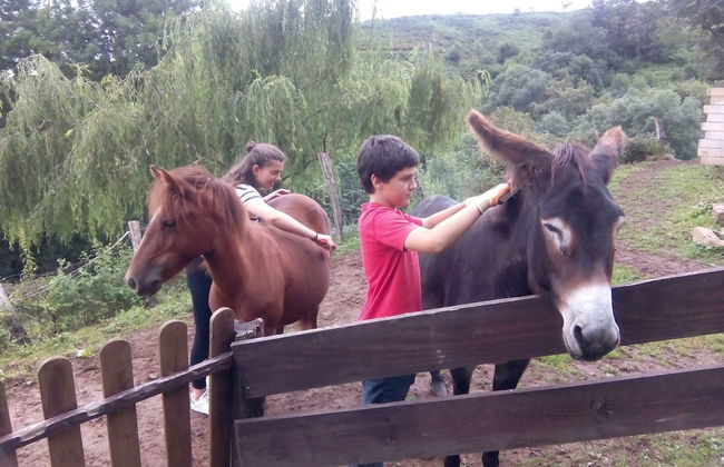 Casa Rural Haitzetxea - Foto 80