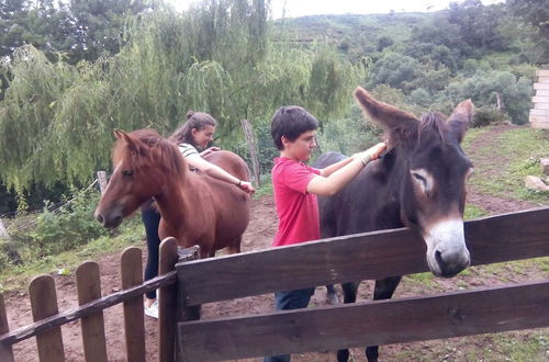 Photo 40 - Casa Rural Haitzetxea