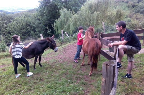 Foto 41 - Casa Rural Haitzetxea