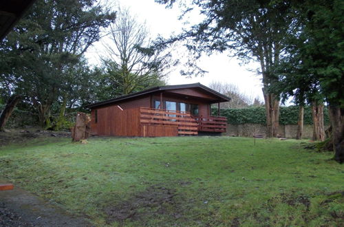 Foto 10 - Birch Lodge 23 With Hot Tub, Newton Stewart