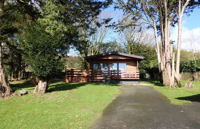Birch Lodge 23 With Hot Tub, Newton Stewart - Foto 11
