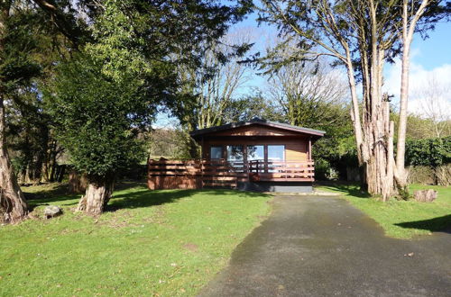 Photo 11 - Birch Lodge 23 With Hot Tub, Newton Stewart