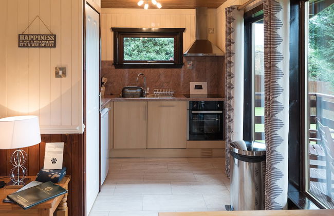 Birch Lodge 23 With Hot Tub, Newton Stewart - Foto 9
