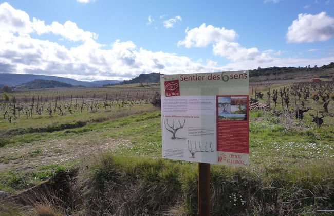 Le Gîte Vigneron - Foto 15