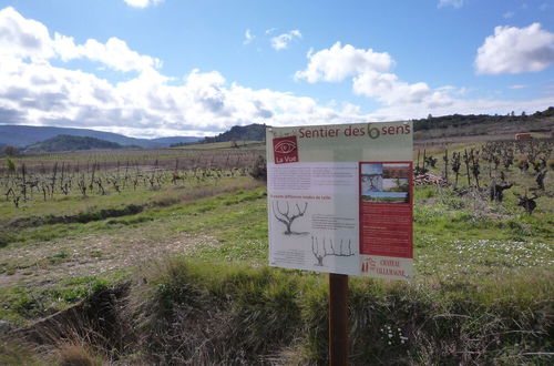 Photo 15 - Le Gîte Vigneron