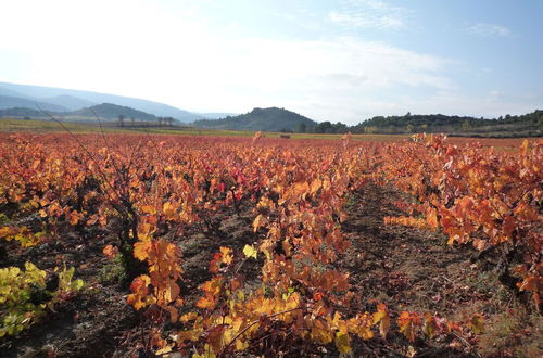 Photo 24 - Le Gîte Vigneron