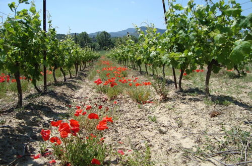 Foto 23 - Le Gîte Vigneron