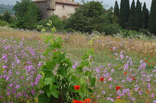 Foto 33 - Le Gîte Vigneron