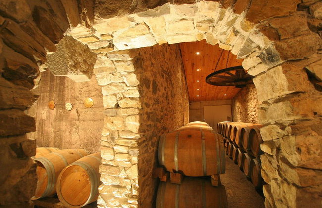 Le Gîte Vigneron - Foto 29