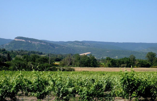 Le Gîte Vigneron - Foto 32