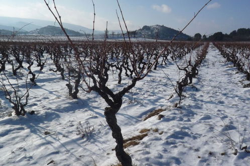 Photo 22 - Le Gîte Vigneron