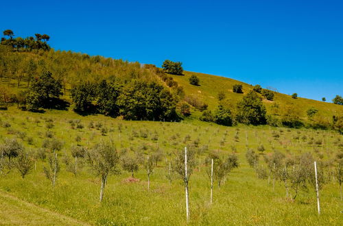 Photo 73 - La Quercia - BolognaRooms