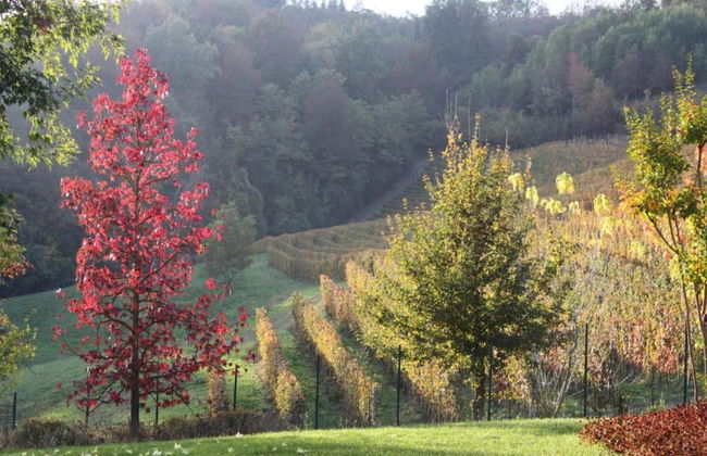 Holiday Home in Langhe With Pool and Terrace - Foto 37