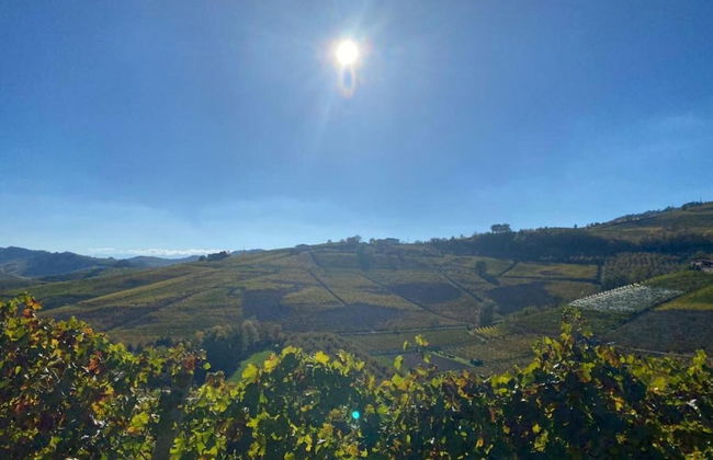 Holiday Home in Langhe With Pool and Terrace - Foto 39