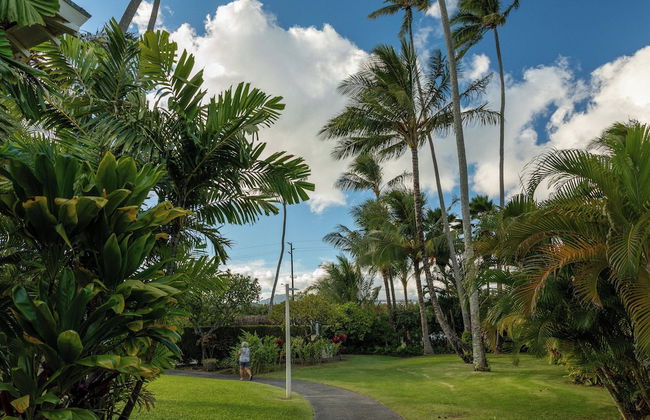 Plantation Hale Suites - Foto 56