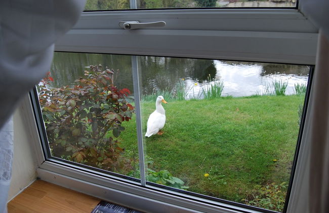 Riverside 2-bed Cottage, Sleeps 3 With Parking - Foto 22