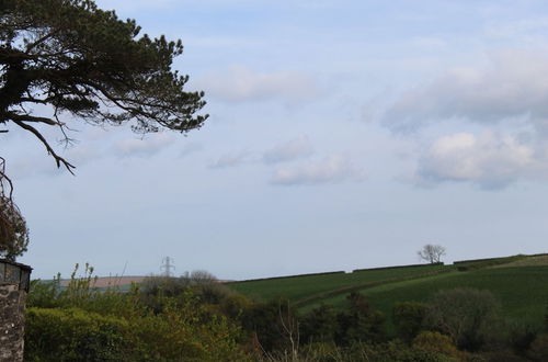 Photo 31 - Stunning 3-bed Cottage Near Totnes South Devon