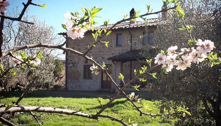 Photo 1 - Agriturismo Cioccoleta