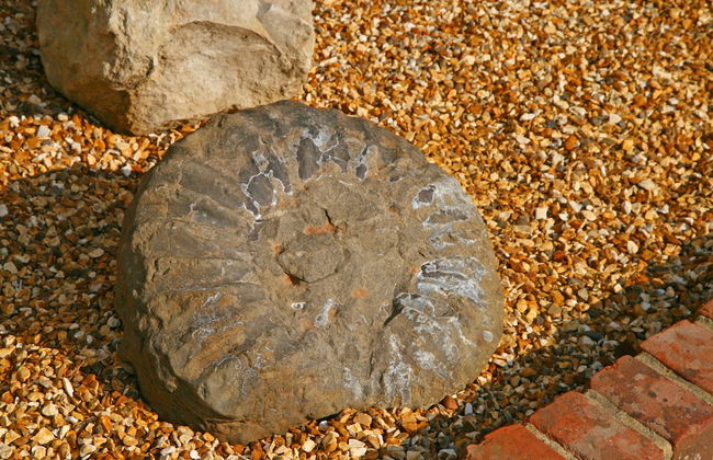 Chale Bay Farm - Foto 47