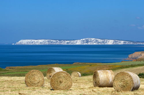 Foto 58 - Chale Bay Farm