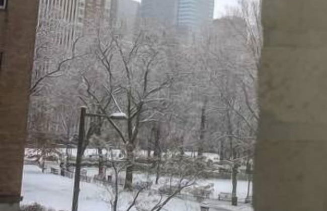 Renaissance Properties - W Rittenhouse Sq - Foto 23