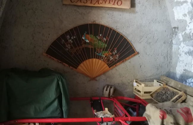 Agriturismo Castanito - Foto 55