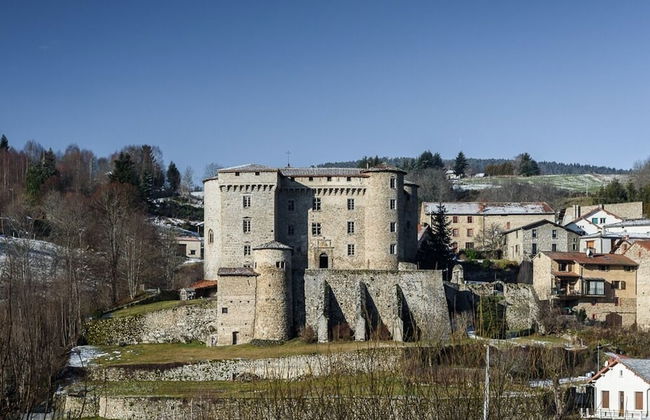 Château des Marcilly Talaru - Foto 53