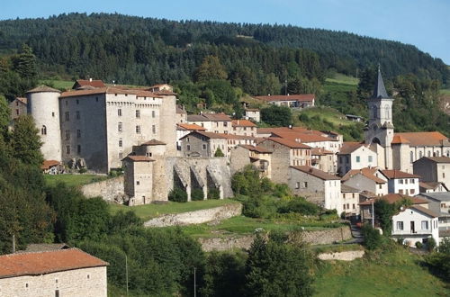 Foto 46 - Château des Marcilly Talaru