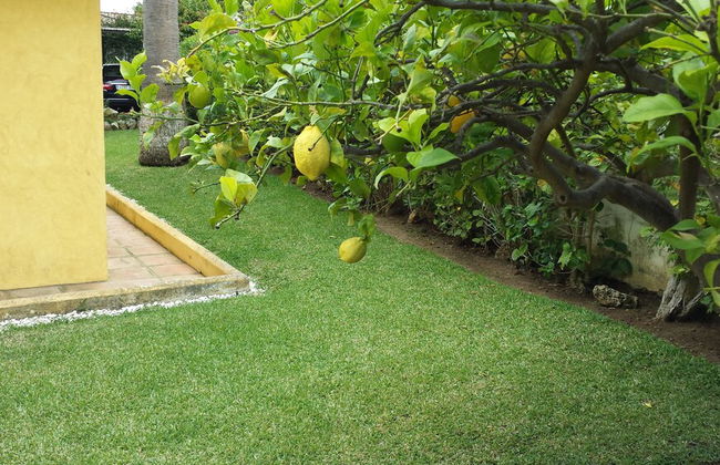 Villa Duque Los Monteros Marbella - Photo 2