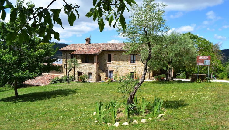 Foto 1 - Agriturismo Marano