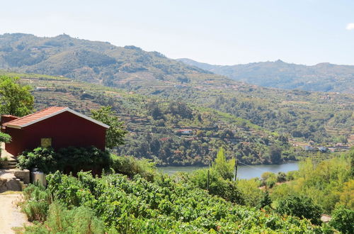 Photo 23 - Casa da Mouta - Douro Valley