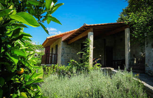 Casa da Mouta - Douro Valley - Foto 14