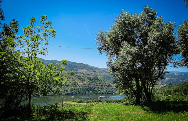 Casa da Mouta - Douro Valley - Foto 22