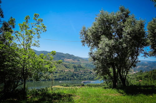 Photo 22 - Casa da Mouta - Douro Valley