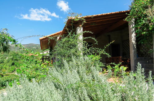 Photo 18 - Casa da Mouta - Douro Valley