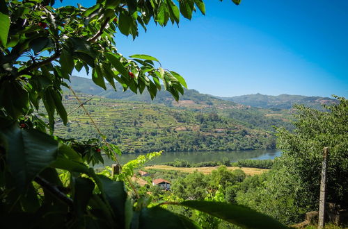 Photo 16 - Casa da Mouta - Douro Valley