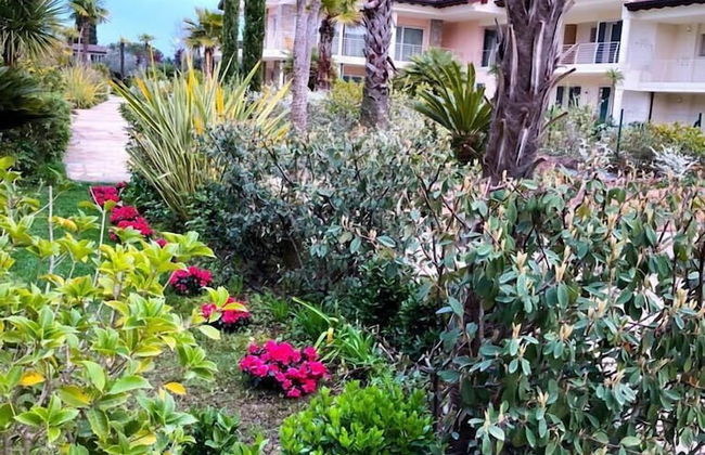 Paradise Luxury Apartments - Photo 1