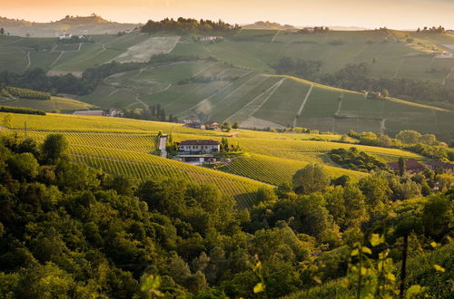 Foto 42 - Cascina Baràc